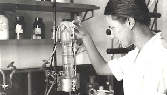 מעבדות ביה"ס לכימיה, נובמבר 1965