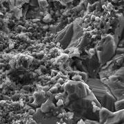 גבישי הקלציט מהם בנוי סלע הגיר, תמונה ממקרוסקופ אלקטרונים סורק (SEM)